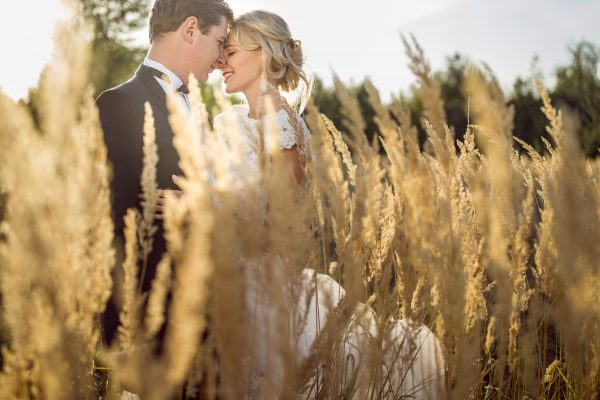 young beautiful wedding couple hugging in a field with grass eared.